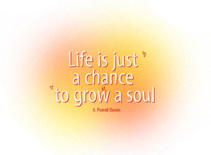 Life is a chance to grow a soul